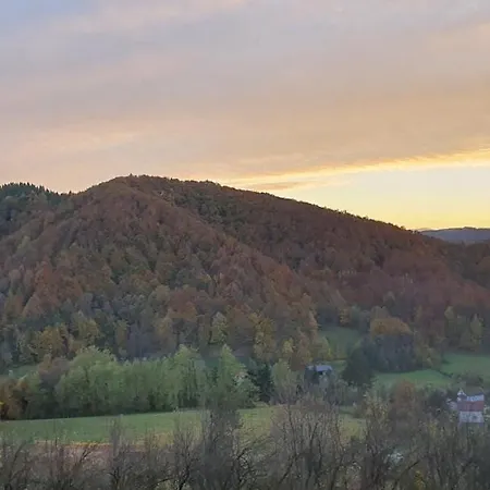The Hill *